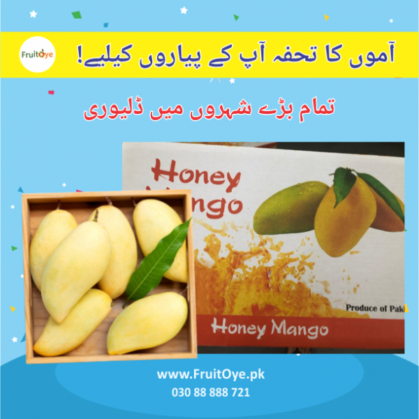 buy chunsa mango online in pakistan
